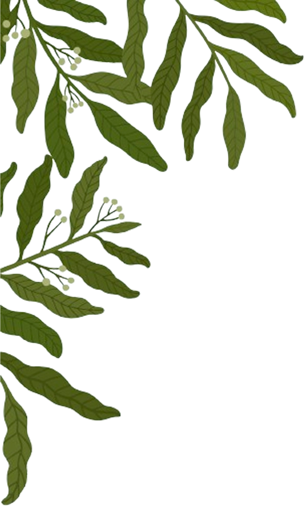 leaf-lt.webp