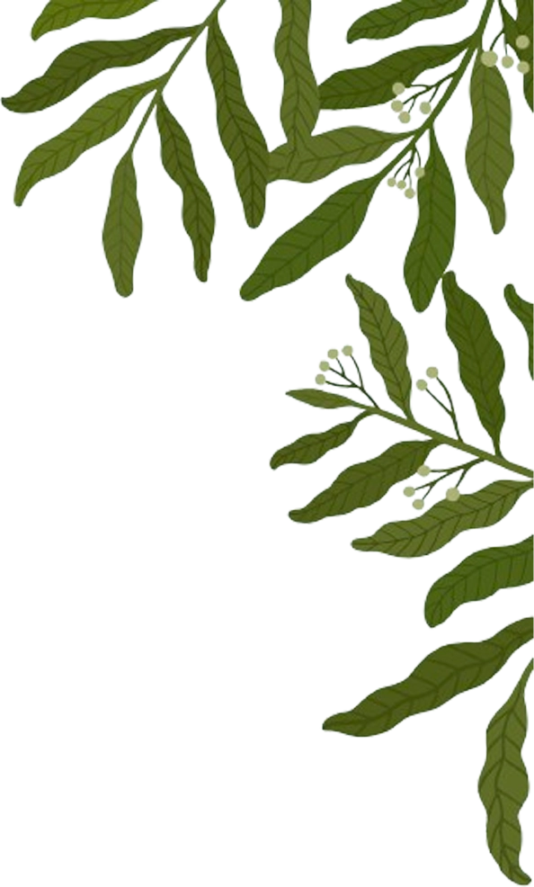 leaf-rt.webp