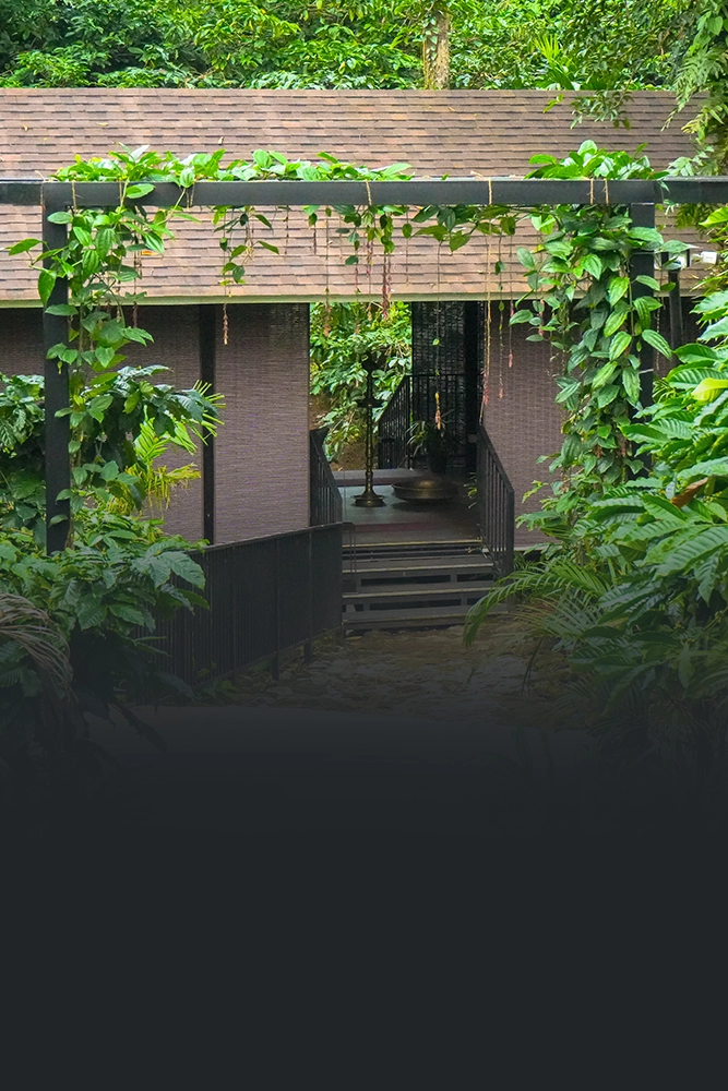 offer-image