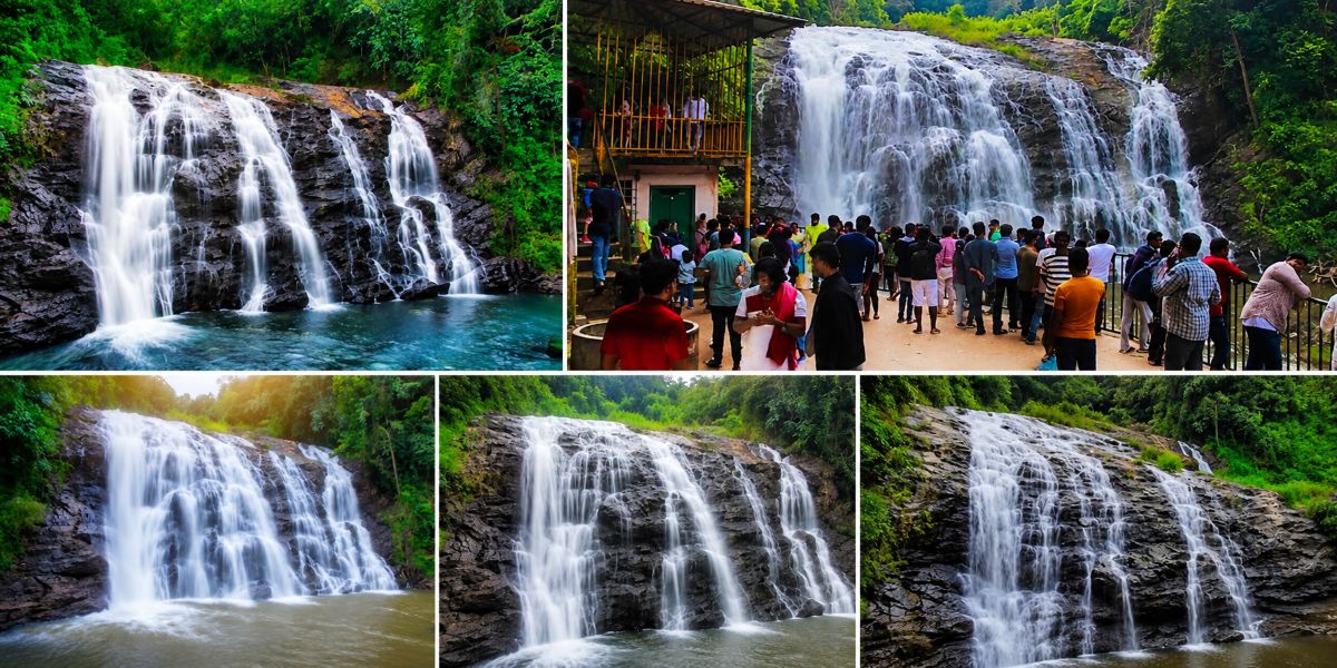 Cascading waterfalls and jungle views