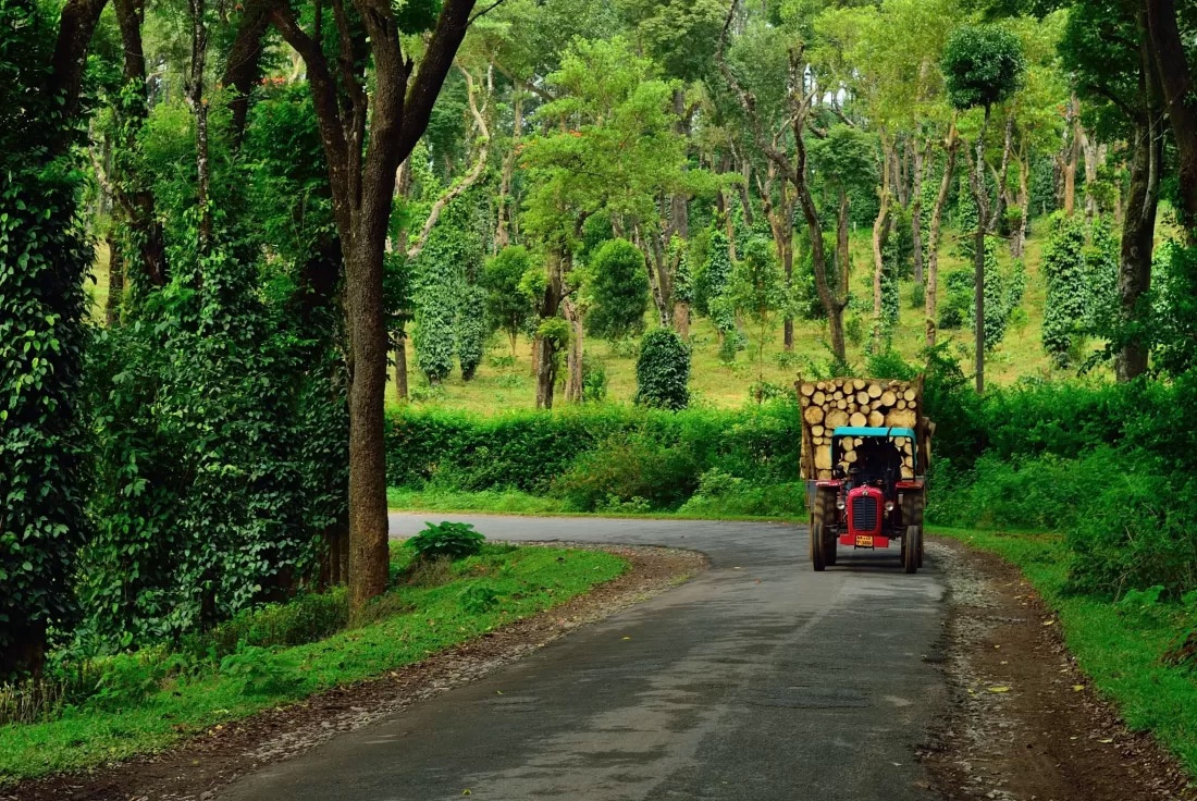 About coorg madikeri