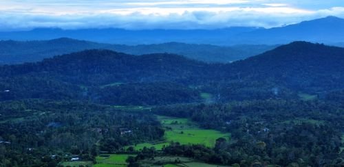 Family Vacation Guide to Coorg