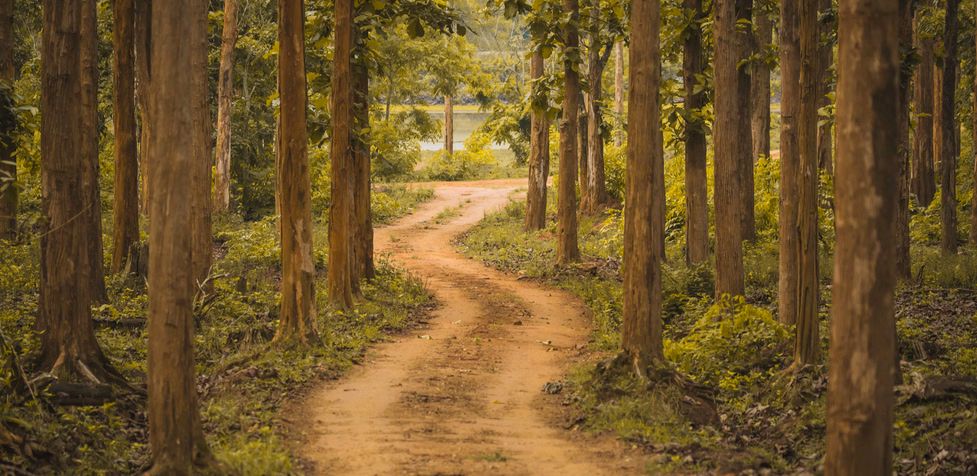 How Weather Affects Your Coorg Stay Experience