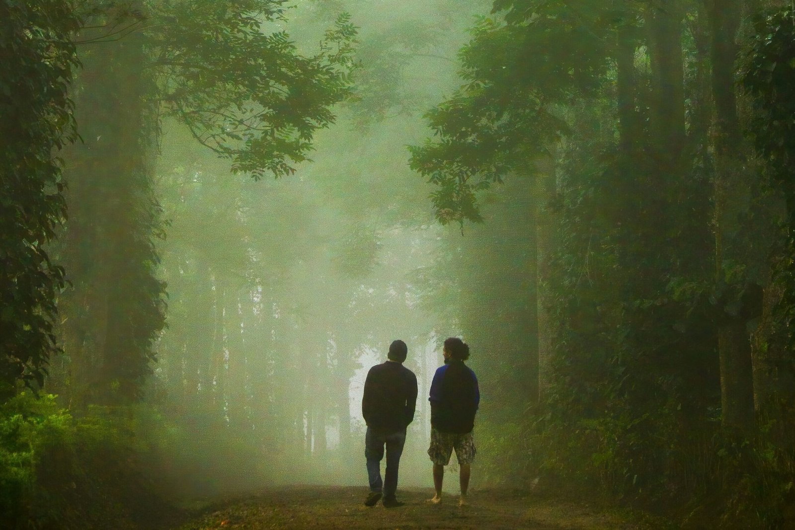 Top Viewpoints in Madikeri Coorg