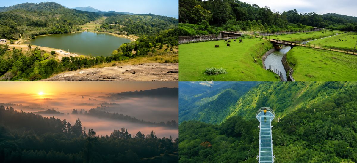Complete Month-by-Month Guide to Visiting Coorg (January–December)