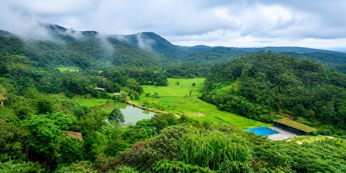 Misty valley with lush greenery