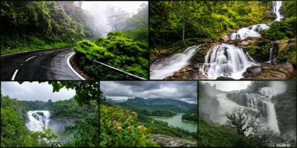 Monsoon in Coorg: The Complete Travel Guide (2026)