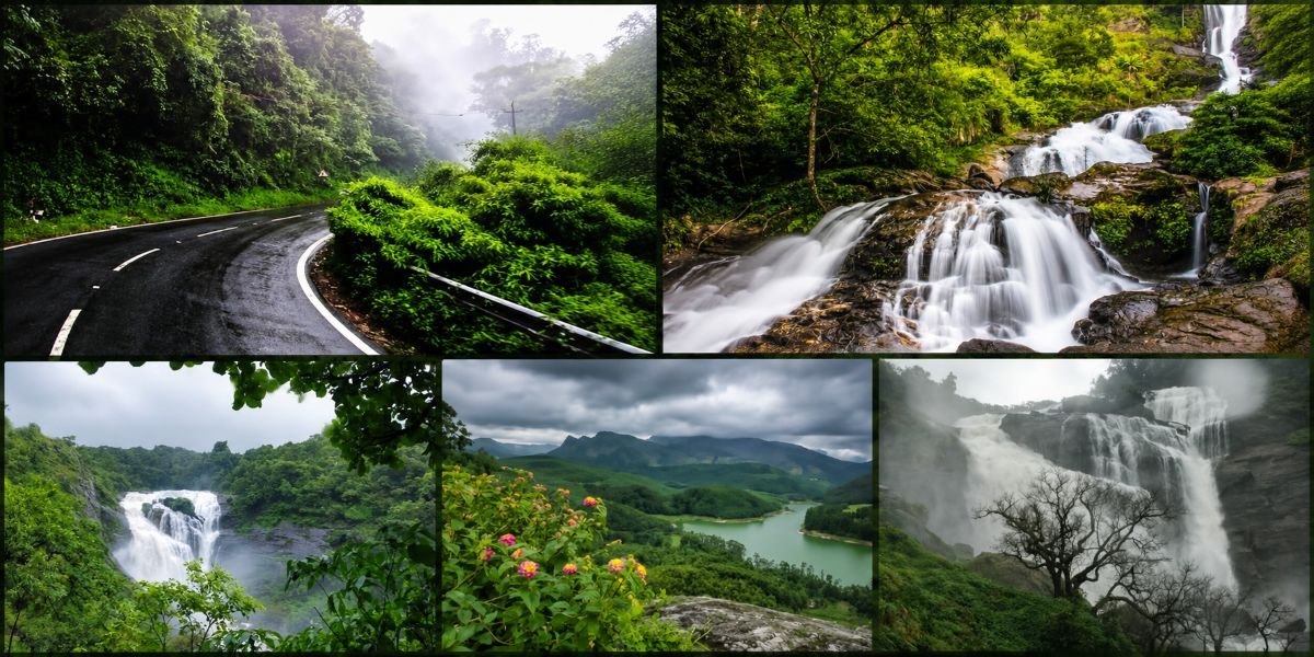 Monsoon in Coorg