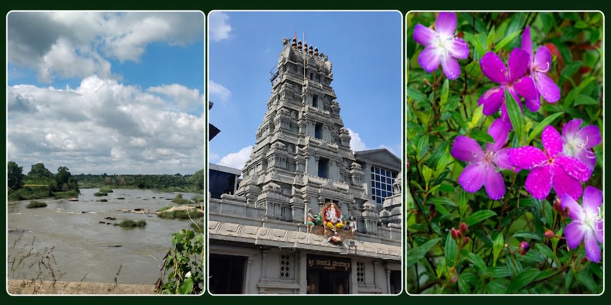 Places to Visit Near Virajpet