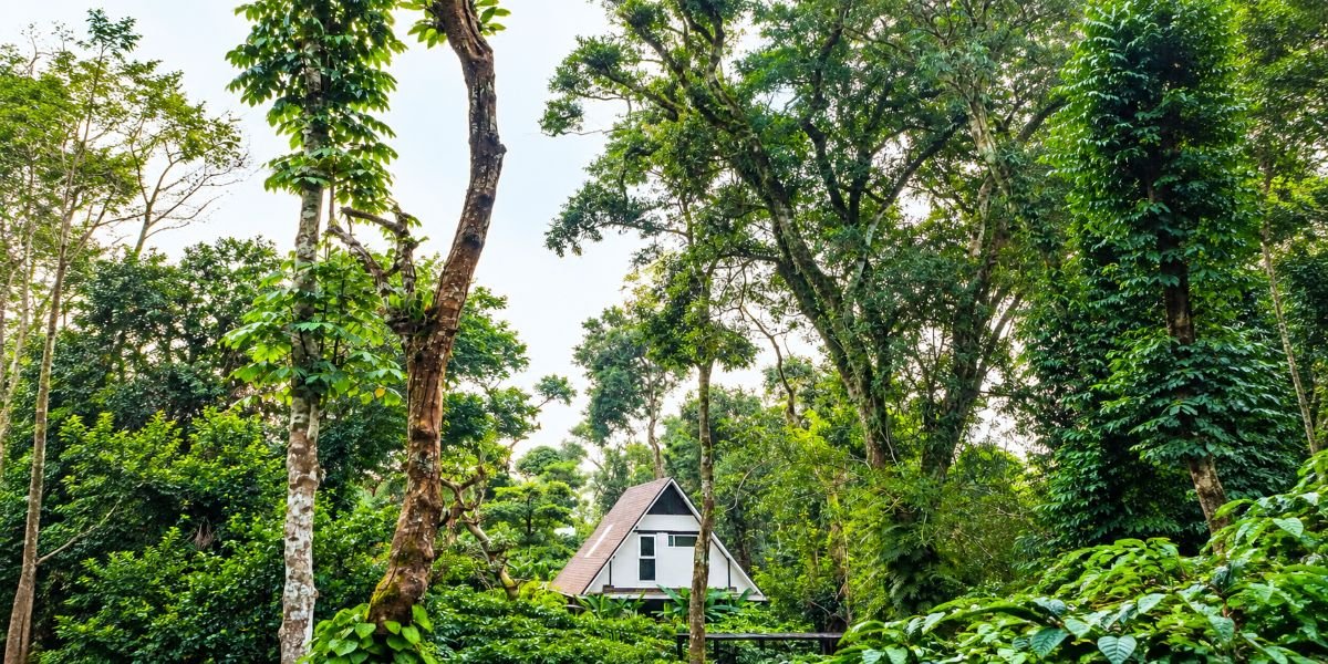 3-Day Coorg Itinerary for October: A Flexible Post-Monsoon Plan