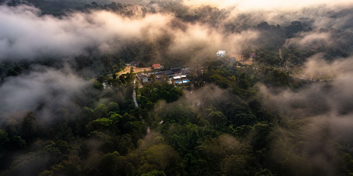 Coffee Plantation Resort in Coorg in October: What Should You Look For