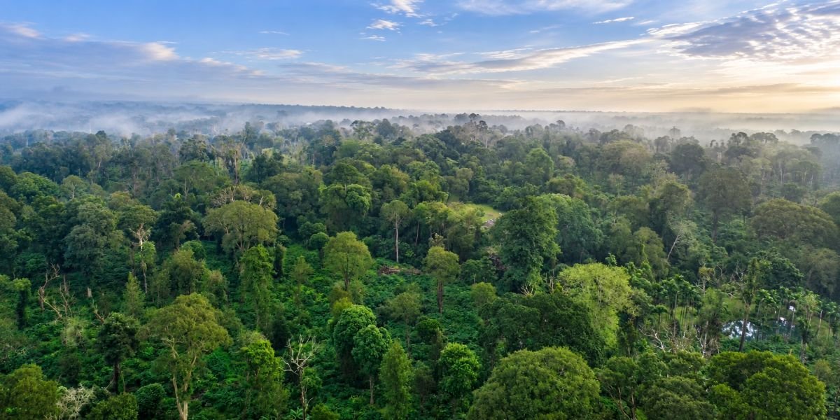 Coorg Weekend Trip in October: A 2-Night Planning Guide