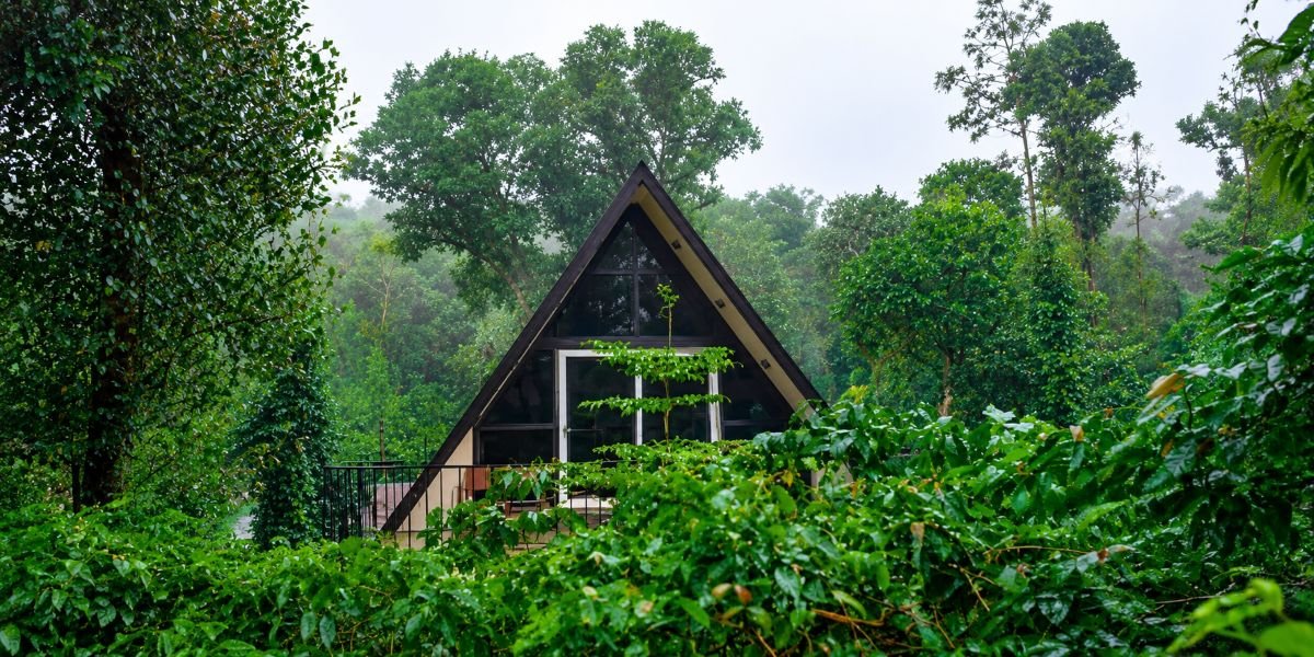 Elephant Corridors in Coorg: How Resorts and Wildlife Can Coexist