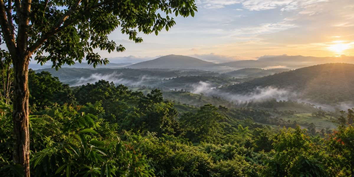 How to Choose a Resort in Coorg When the Stay Matters as Much as Sightseeing