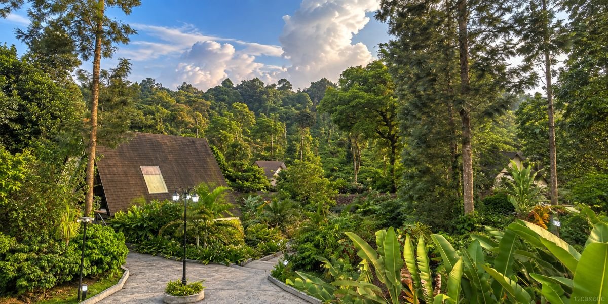 How to Choose a Resort in Coorg for a September Stay