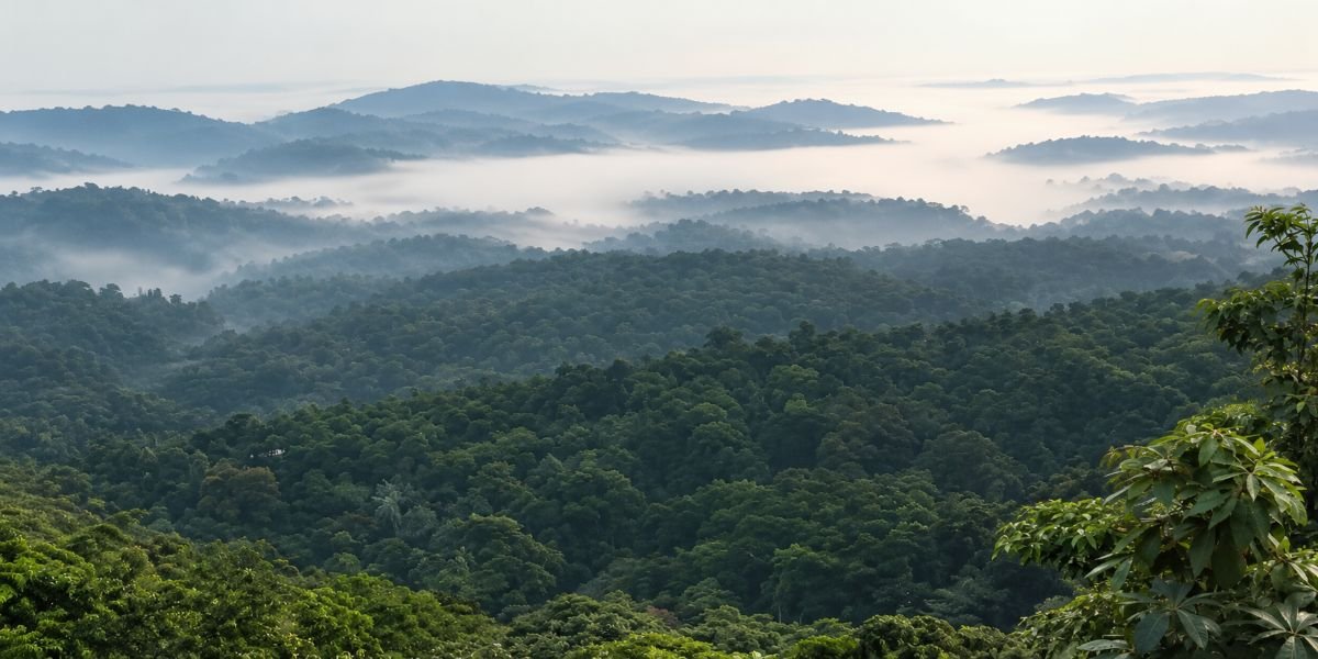 Luxury Resort in Coorg for a Short Trip: How to Get the Stay Right