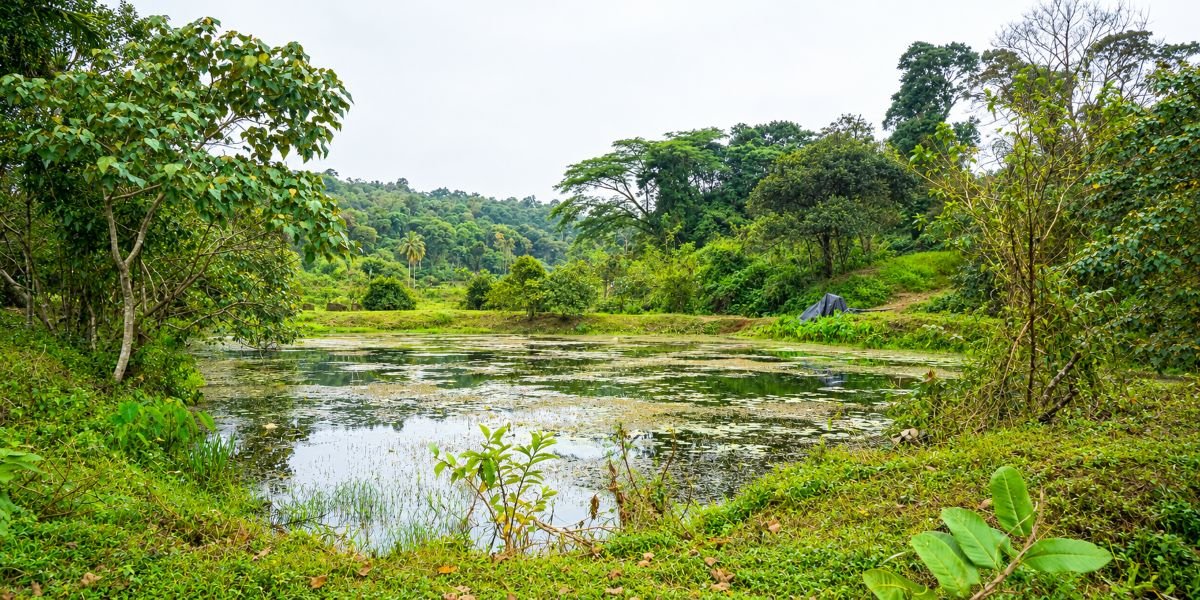 Places to Visit in Coorg in October: What Fits the Season Best
