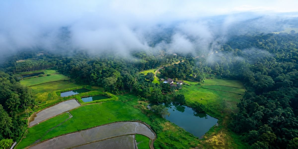 Raja's Seat History: The Full Story Behind Madikeri's Most Beloved Viewpoint