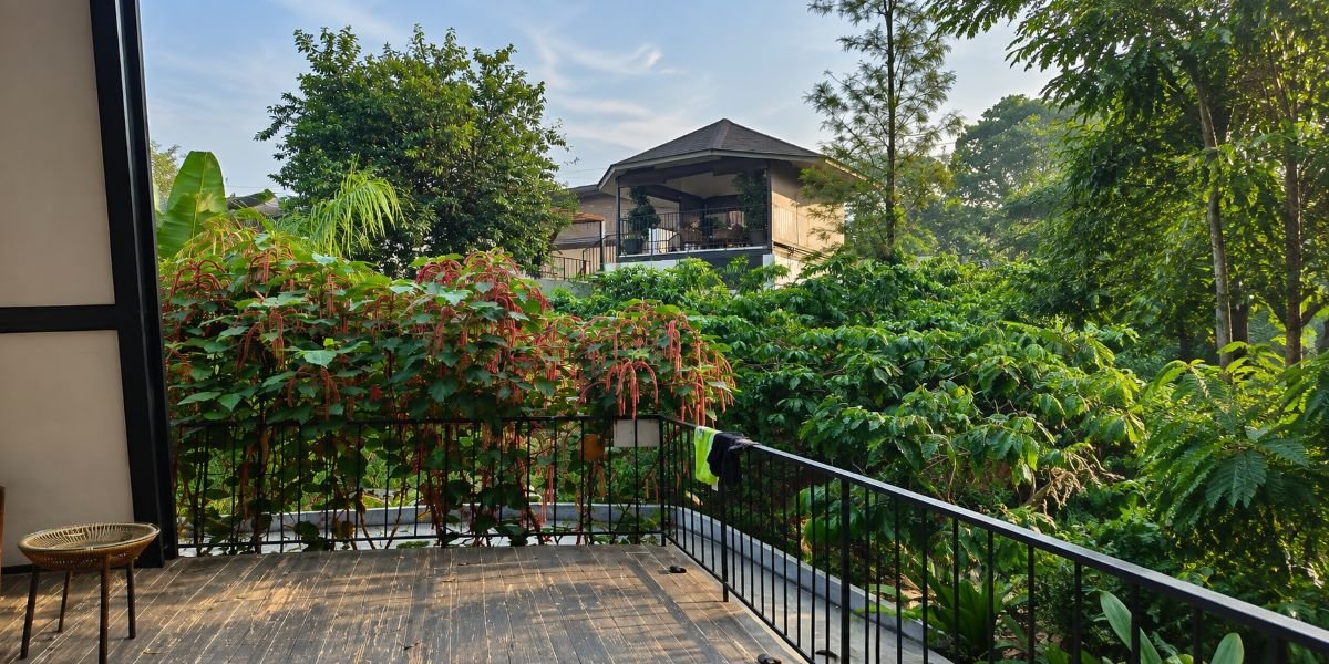 Resort in Virajpet Coorg: What Makes the Location Practical for a Stay
