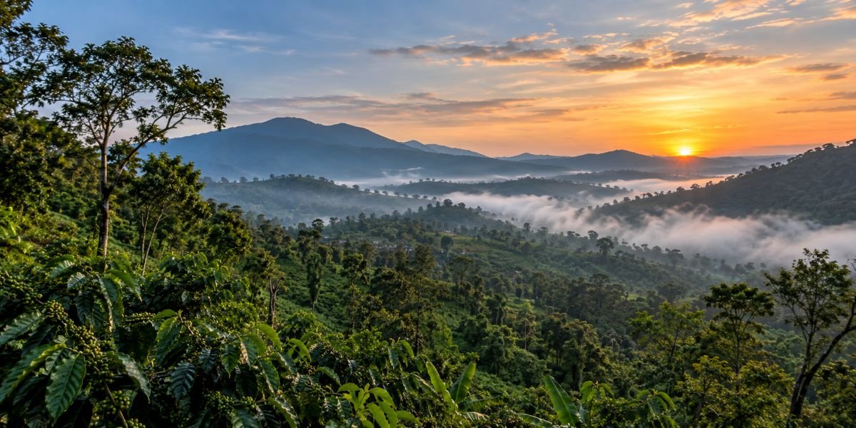 The Complete Pre Booking Checklist for Choosing Your Coorg Resort