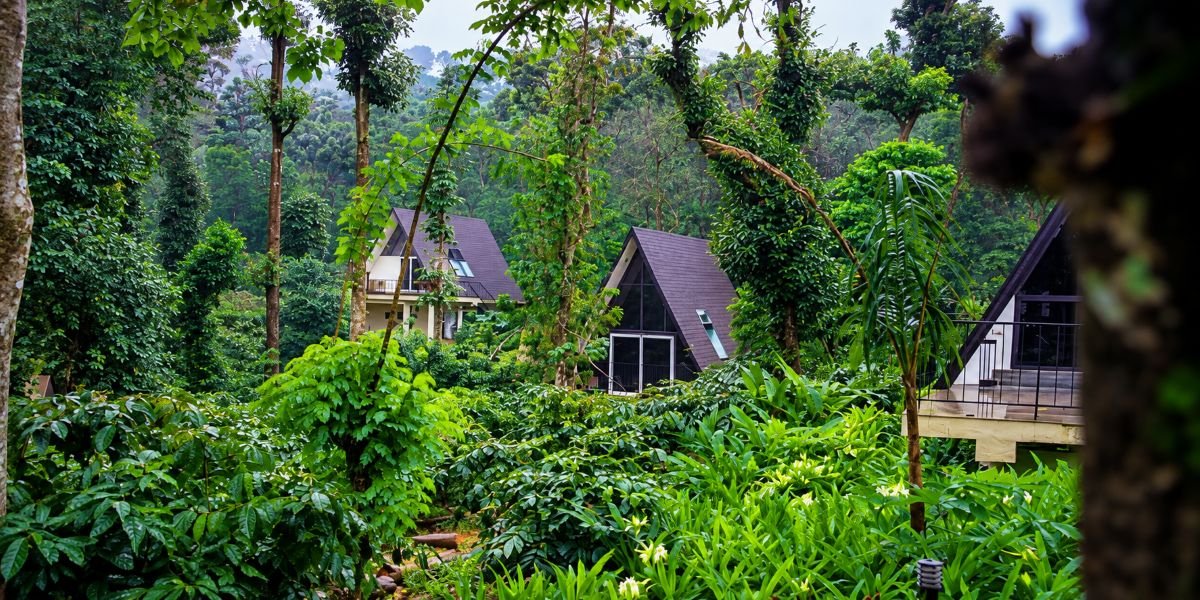 The Spice Route: Exploring Coorg’s Cardamom Pepper and Vanilla Estates