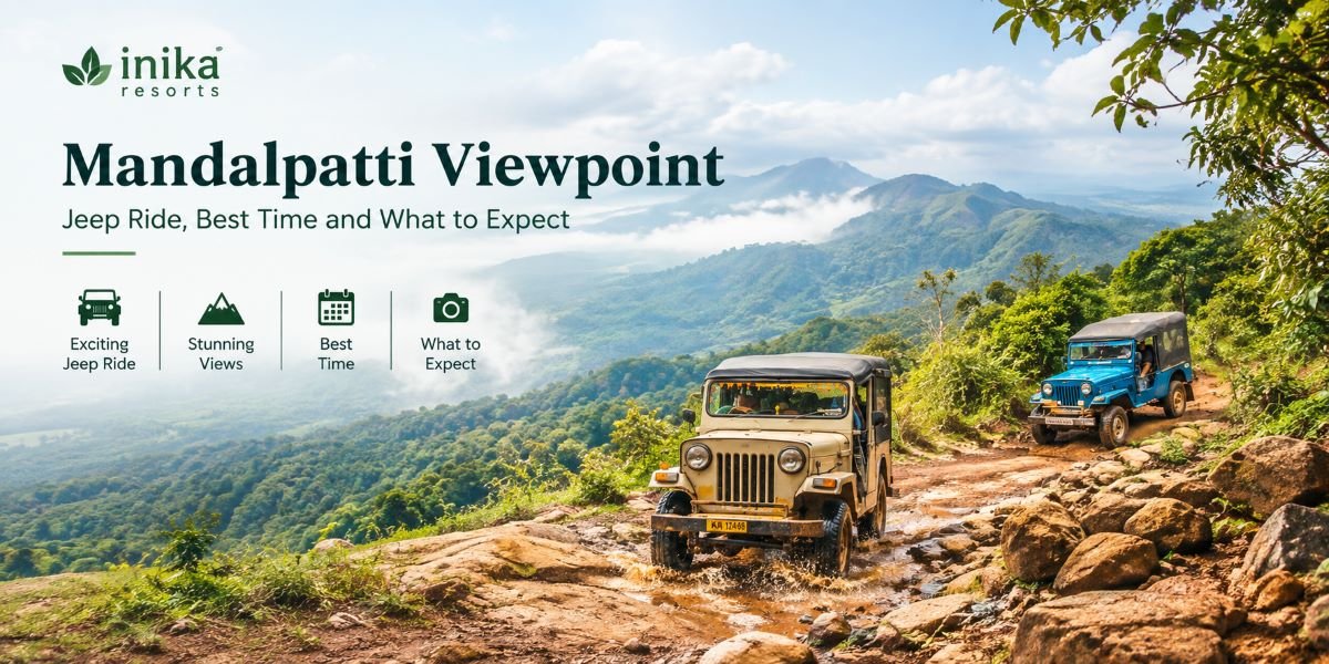 Mandalpatti Viewpoint Guide: Jeep Ride, Best Time and What to Expect