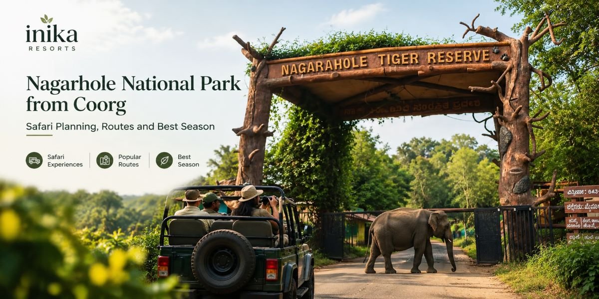 Nagarhole National Park from Coorg: Safari Planning, Routes and Best Season
