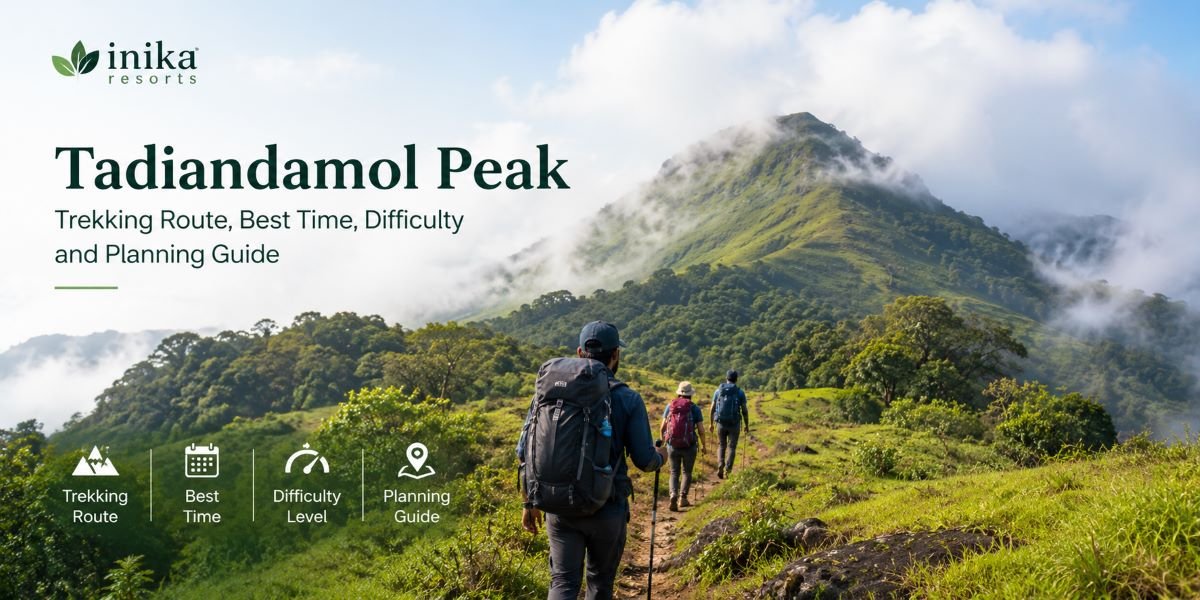 Tadiandamol Peak: Trekking Route, Best Time, Difficulty and Planning Guide